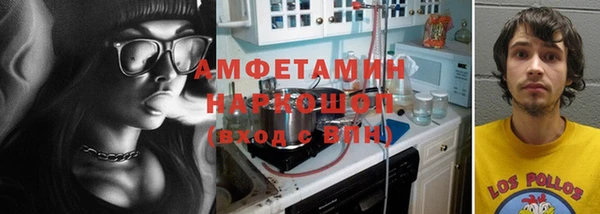 шишки Няндома