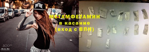 шишки Няндома