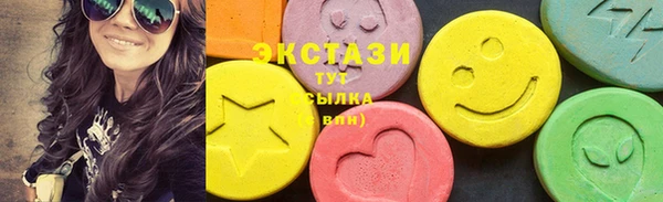 индика Нягань