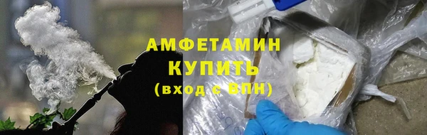 шишки Няндома