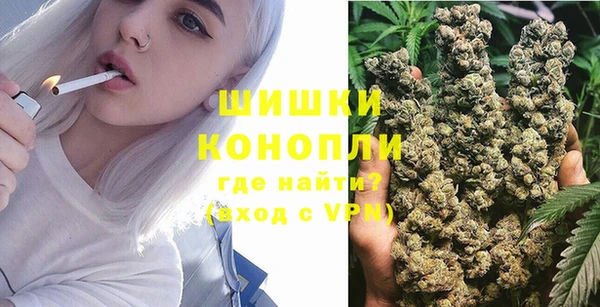 индика Нягань