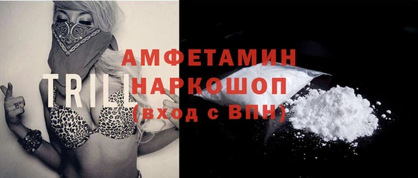индика Нягань