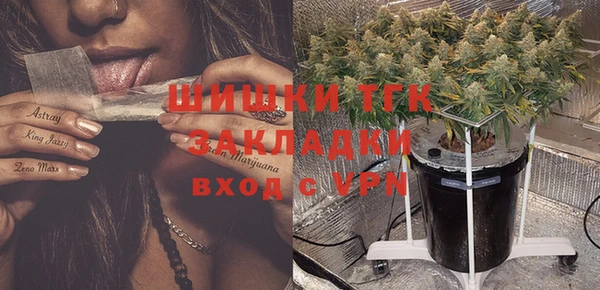 спиды Новодвинск