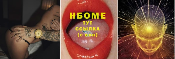 индика Нягань