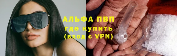 шишки Няндома