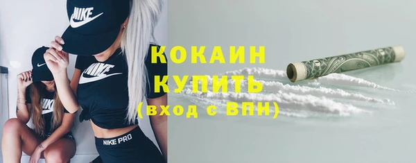 шишки Няндома