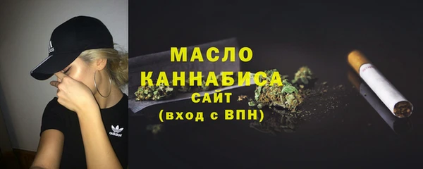 шишки Няндома