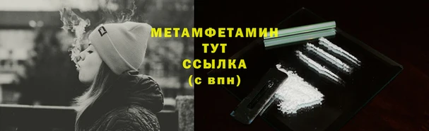 индика Нягань