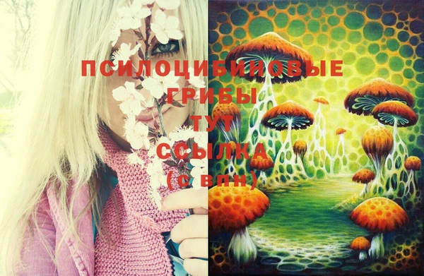 индика Нягань
