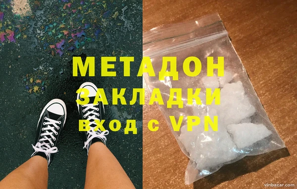 шишки Няндома