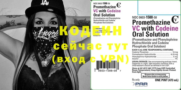 шишки Няндома