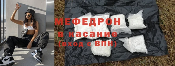 шишки Няндома