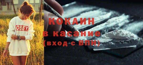 индика Нягань