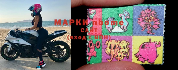 шишки Няндома