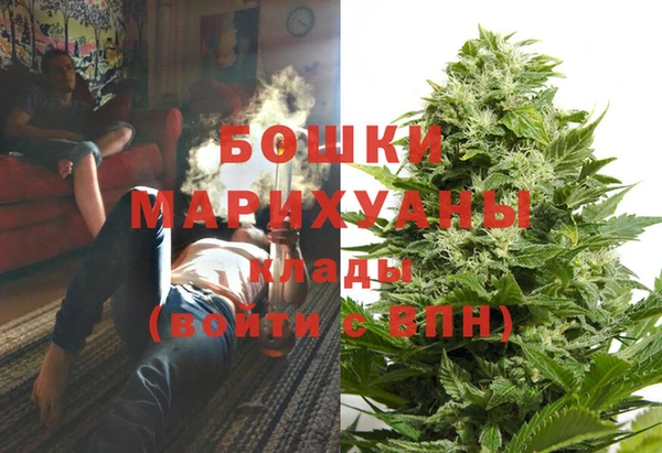 шишки Няндома