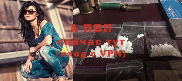 индика Нягань