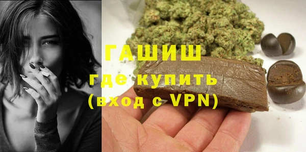 шишки Няндома