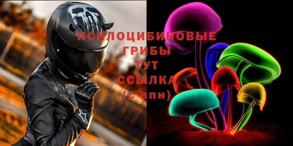 шишки Няндома