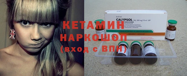индика Нягань