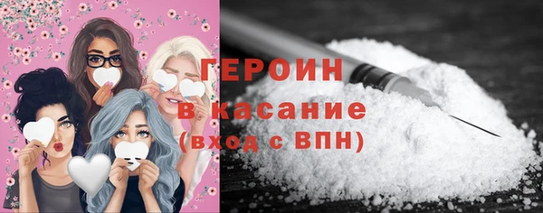 шишки Няндома