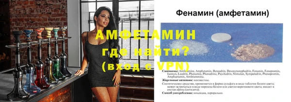 шишки Няндома