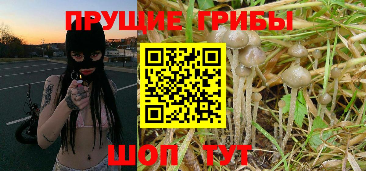 Галлюциногенные грибы Psilocybine cubensis  Вход с VPN  продажа наркотиков  Советский  Галлюциногенные грибы прущие грибы 
