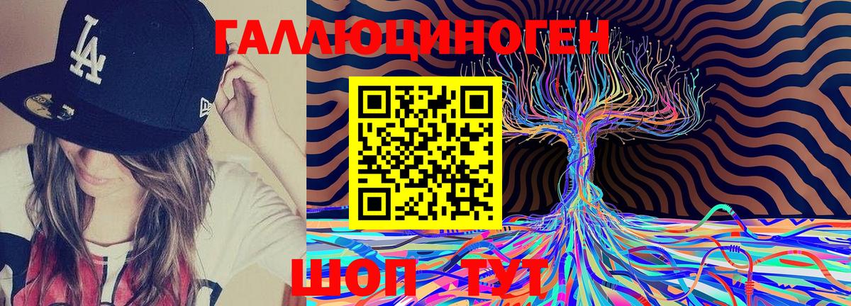 Галлюциногенные грибы Psilocybe Советский
