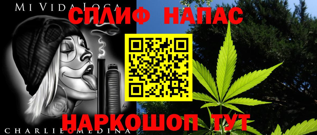 Канабис гибрид Советский